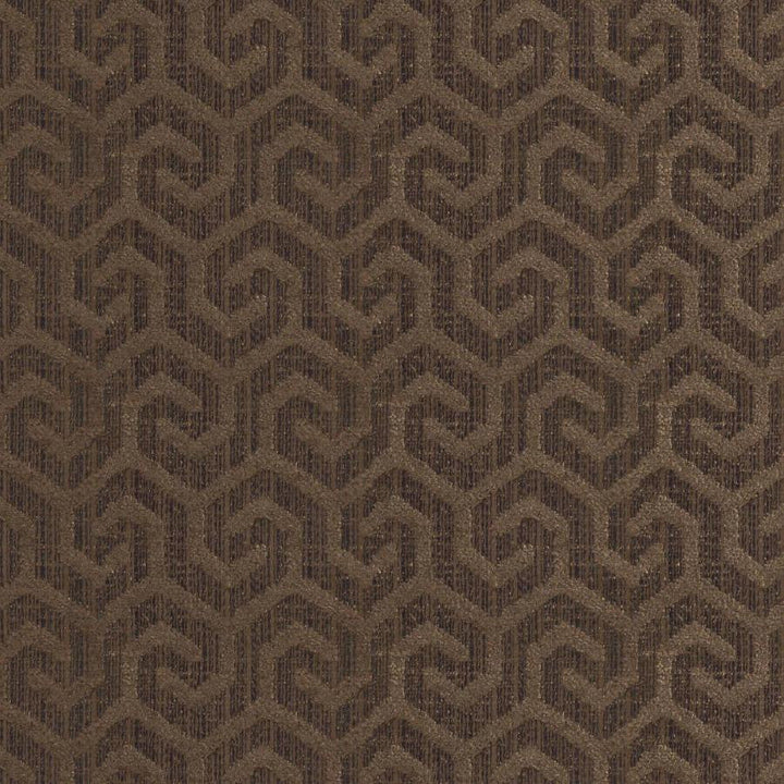 Camino # 360 Pinecone by Maxwell Designer Fabric Colorguard-Pashmina 100% POLYESTER INDIA V-2.5" H-1.3" 54.7" - Swanky Fabrics -