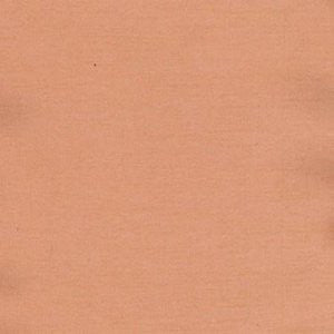 Charm Clay by Norbar Designer Fabric 100% POLYESTER INDIA 54" - Swanky Fabrics -