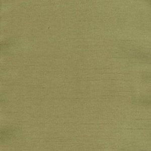Norbar Fabric Charm Kiwi