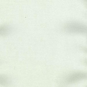 Charm Oyster by Norbar Designer Fabric 100% POLYESTER INDIA 54" - Swanky Fabrics -