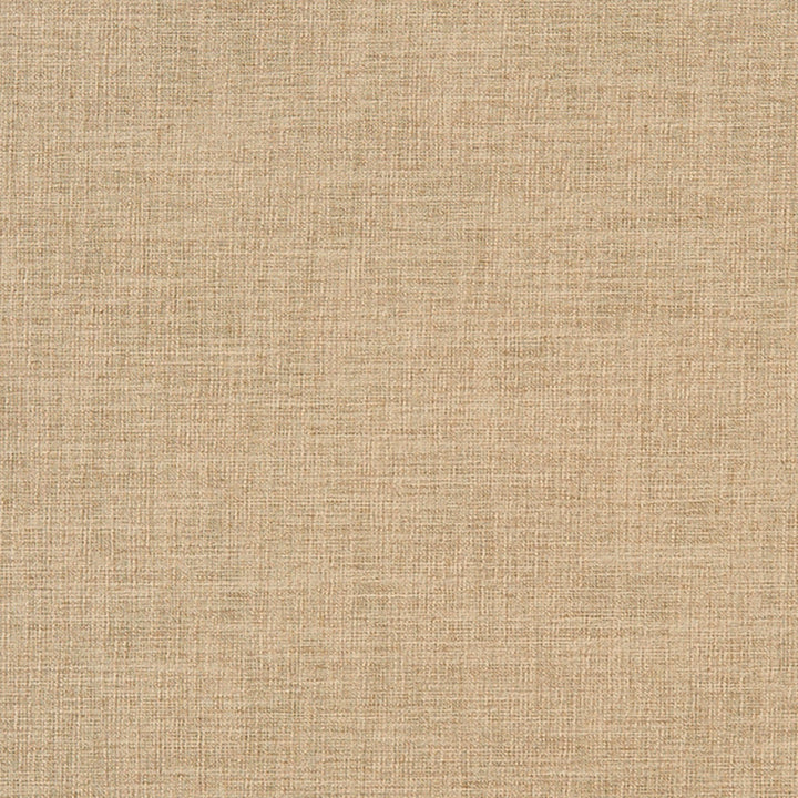 Chatham 32J7031 by JF Crypton Designer Fabric Crypton Binder 100% Polyester India 50000 Horizontal: and Vertical: 54 - Swanky Fabrics -