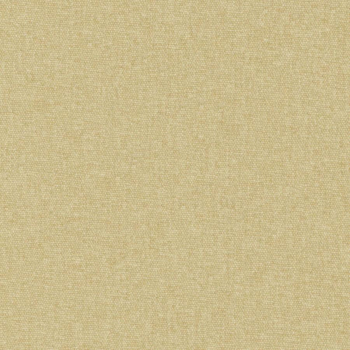 Conte # 804 Oatmeal by Maxwell Designer Fabric Curled Up Viii 100% POLYESTER INDIA 54" - Swanky Fabrics -