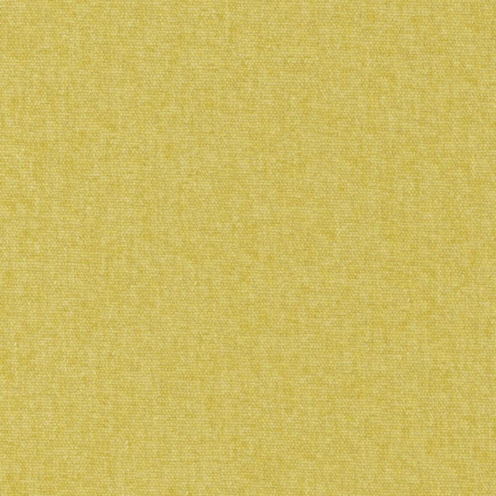 Conte # 805 Linden by Maxwell Designer Fabric Curled Up Viii 100% POLYESTER INDIA 54" - Swanky Fabrics -
