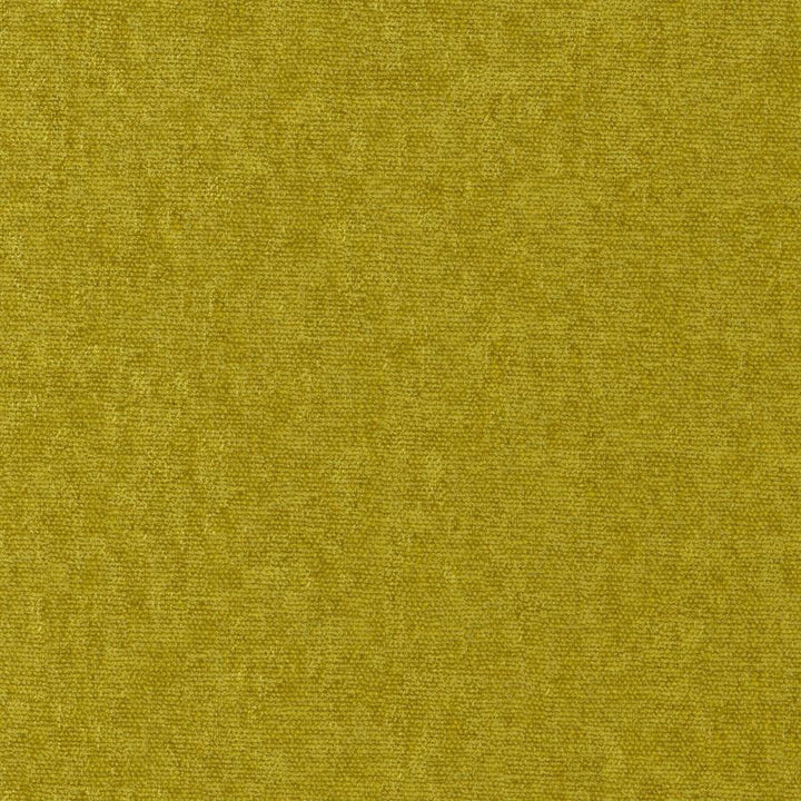 Conte # 806 Turtle by Maxwell Designer Fabric Curled Up Viii 100% POLYESTER INDIA 54" - Swanky Fabrics -