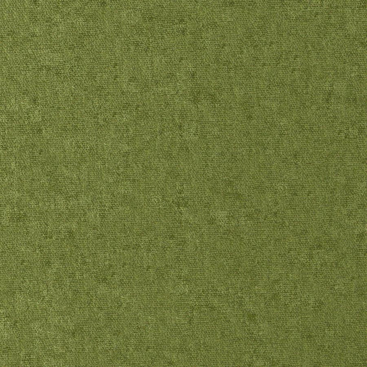 Conte # 811 Grass by Maxwell Designer Fabric Curled Up Viii 100% POLYESTER INDIA 54" - Swanky Fabrics -