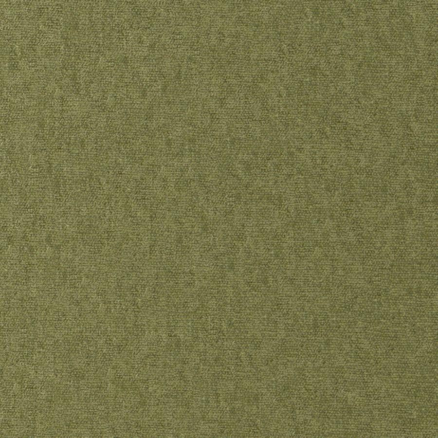 Conte # 812 Olive by Maxwell Designer Fabric Curled Up Viii 100% POLYESTER INDIA 54" - Swanky Fabrics -