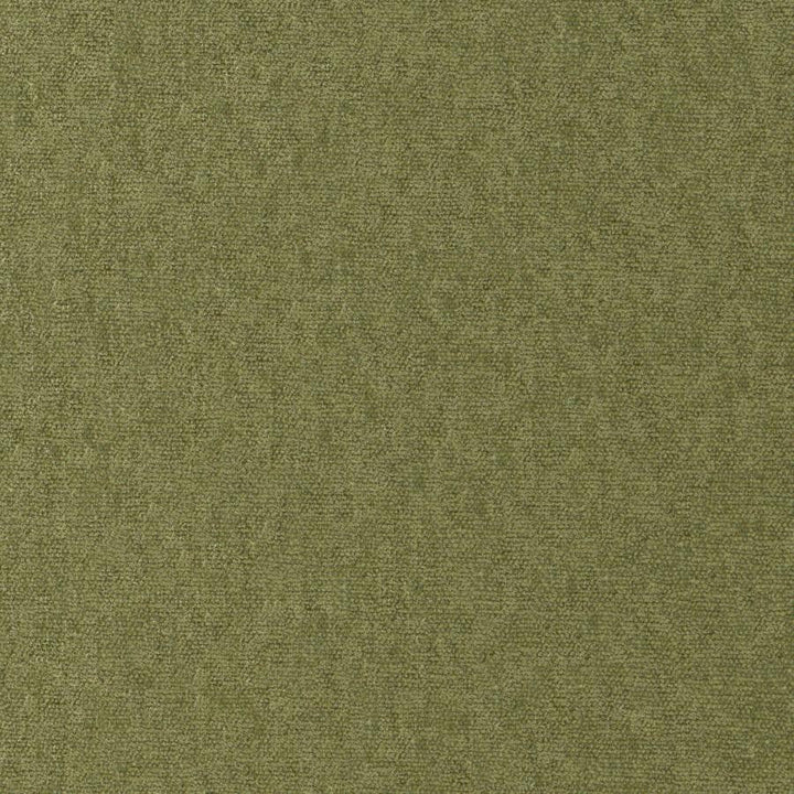 Conte # 812 Olive by Maxwell Designer Fabric Curled Up Viii 100% POLYESTER INDIA 54" - Swanky Fabrics -