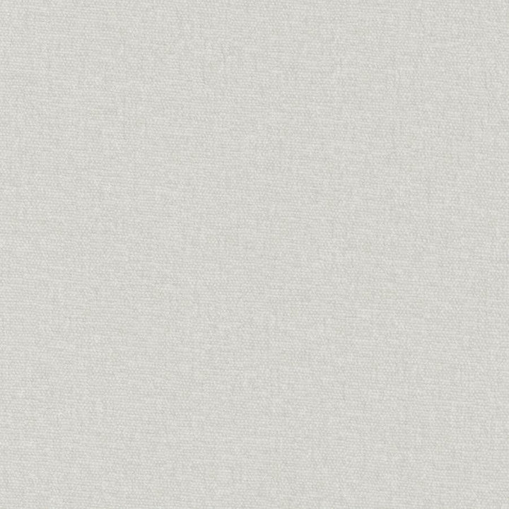Conte # 857 Sterling by Maxwell Designer Fabric Curled Up Viii 100% POLYESTER INDIA 54" - Swanky Fabrics -