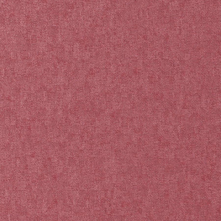 Conte # 881 Peony by Maxwell Designer Fabric Curled Up Viii 100% POLYESTER INDIA 54" - Swanky Fabrics -