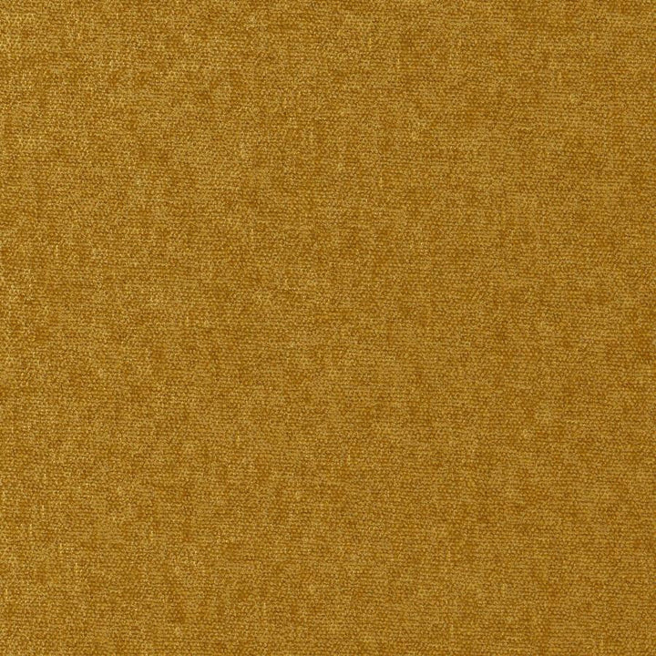 Conte # 903 Butterscotch by Maxwell Designer Fabric Curled Up Viii 100% POLYESTER INDIA 54" - Swanky Fabrics -