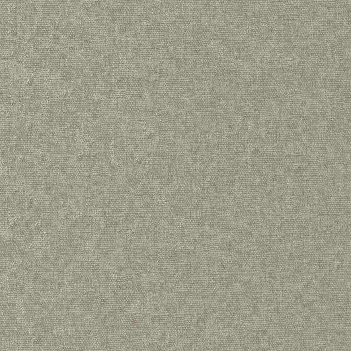Conte # 905 Funghi by Maxwell Designer Fabric Curled Up Viii 100% POLYESTER INDIA 54" - Swanky Fabrics -