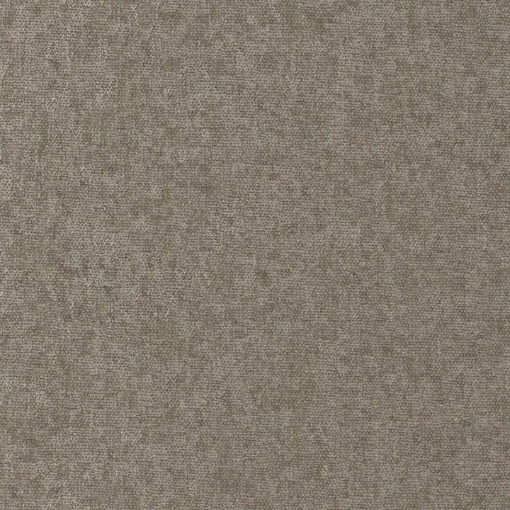 Conte # 907 Plaza by Maxwell Designer Fabric Curled Up Viii 100% POLYESTER INDIA 54" - Swanky Fabrics -
