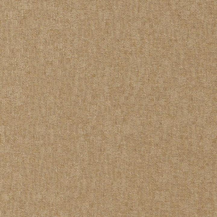 Conte # 951 Buff by Maxwell Designer Fabric Curled Up Viii 100% POLYESTER INDIA 54" - Swanky Fabrics -