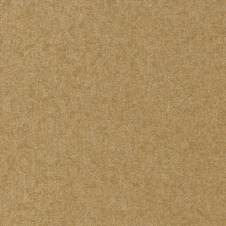 Conte # 952 Antelope by Maxwell Designer Fabric Curled Up Viii 100% POLYESTER INDIA 54" - Swanky Fabrics -
