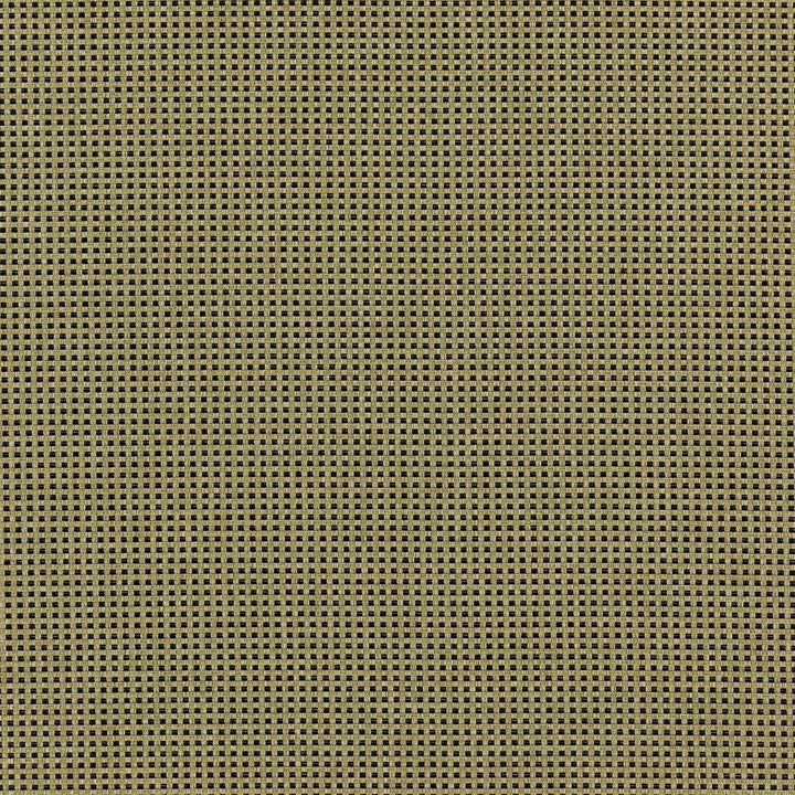 CHIEF 17J7351 by JF Designer Fabric Winning Weaves VI - Woven Book 90% Polyester, 10% Viscose India  Horizontal:  and Vertical:  57  - Swanky Fabrics -
