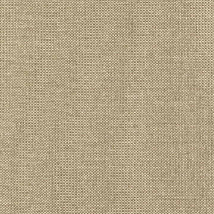 CHIEF 72J7351 by JF Designer Fabric Winning Weaves VI - Woven Book 90% Polyester, 10% Viscose India  Horizontal:  and Vertical:  57  - Swanky Fabrics -