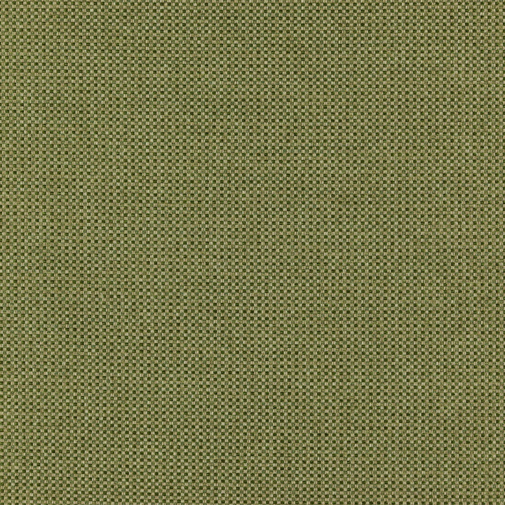 CHIEF 75J7351 by JF Designer Fabric Winning Weaves VI - Woven Book 90% Polyester, 10% Viscose India  Horizontal:  and Vertical:  57  - Swanky Fabrics -