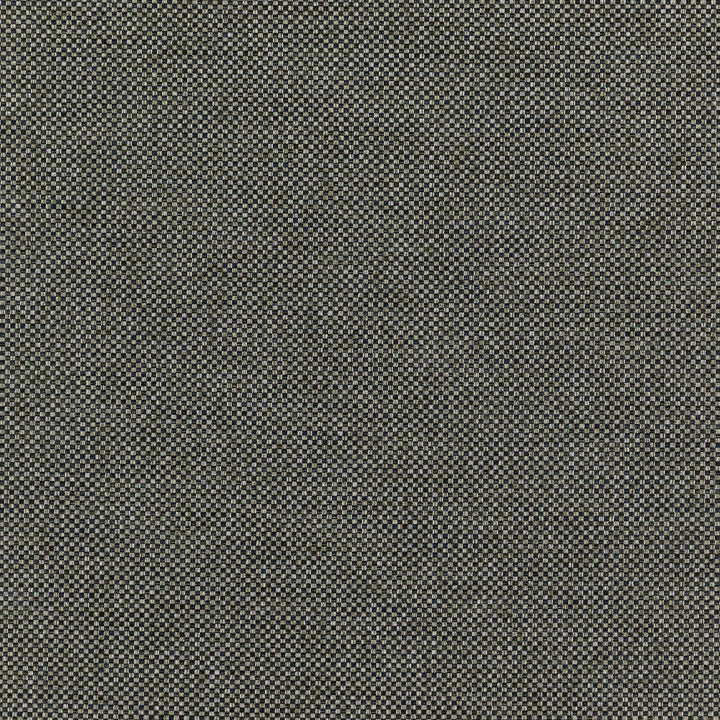CHIEF 97J7351 by JF Designer Fabric Winning Weaves VI - Woven Book 90% Polyester, 10% Viscose India  Horizontal:  and Vertical:  57  - Swanky Fabrics -