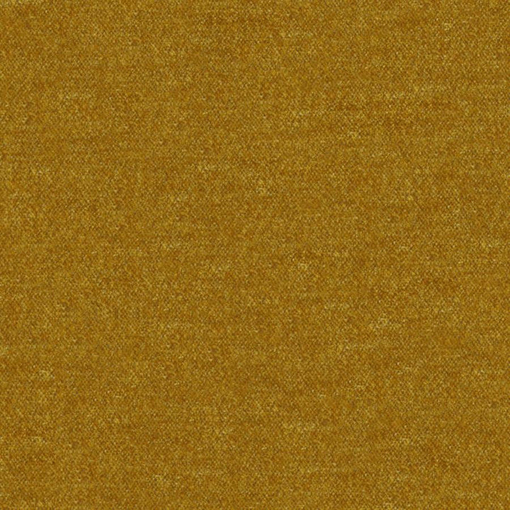 Calabria # 420 Gold by Maxwell Designer Fabric Performance Velvets-Vol.Iv 51% ACRYLIC/44% POLYESTER/5% VISCOSE TURKEY 55.9" - Swanky Fabrics -