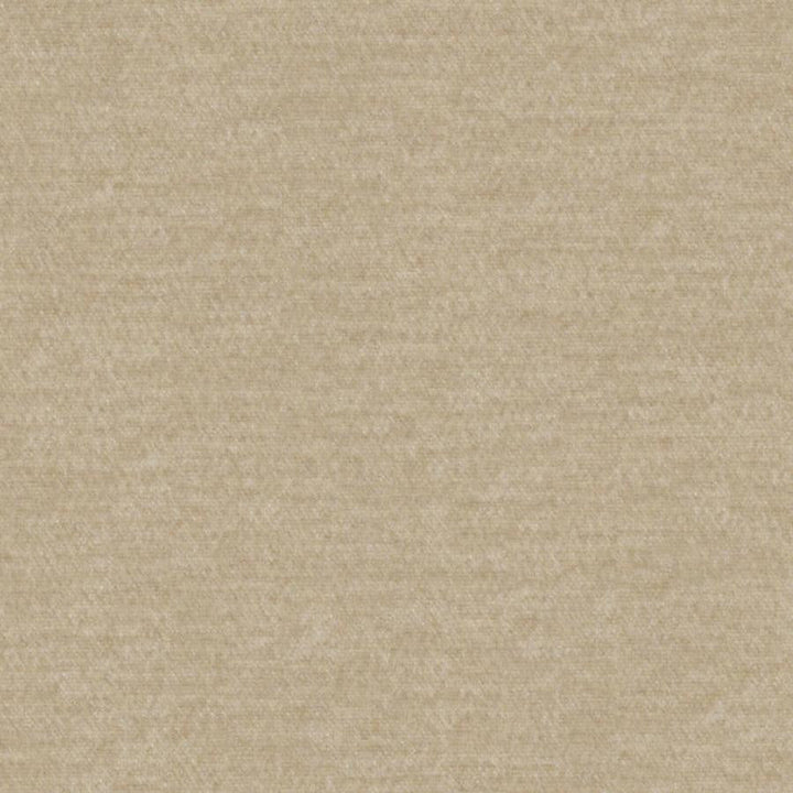Calabria # 437 Dune by Maxwell Designer Fabric Performance Velvets-Vol.Iv 51% ACRYLIC/44% POLYESTER/5% VISCOSE TURKEY 55.9" - Swanky Fabrics -