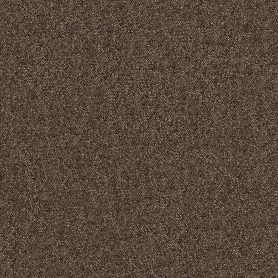 Calabria # 442 Beaver by Maxwell Designer Fabric Performance Velvets-Vol.Iv 51% ACRYLIC/44% POLYESTER/5% VISCOSE TURKEY 55.9" - Swanky Fabrics -