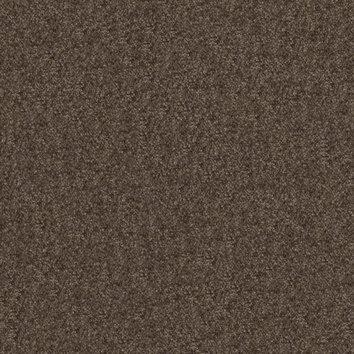 Calabria # 442 Beaver by Maxwell Designer Fabric Performance Velvets-Vol.Iv 51% ACRYLIC/44% POLYESTER/5% VISCOSE TURKEY 55.9" - Swanky Fabrics -