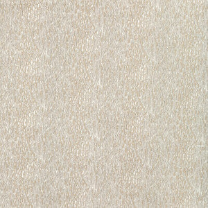 Kravet Fabric Chromis Oyster