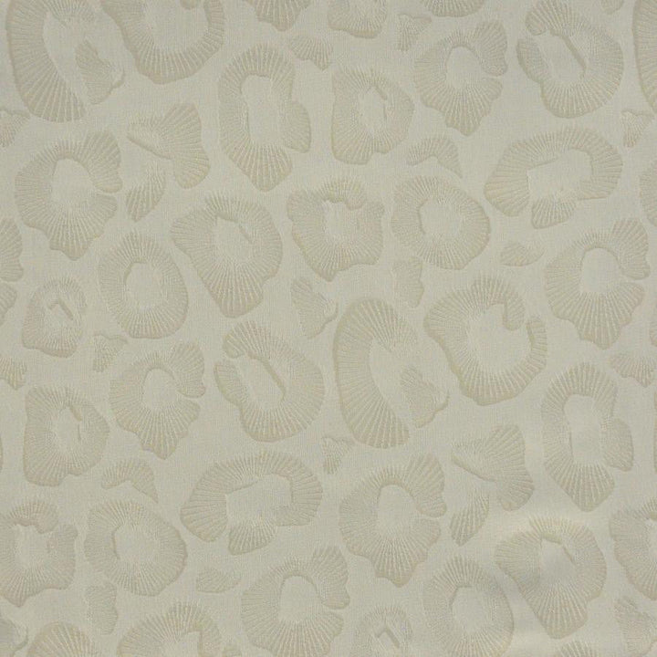 Coquina # 828 Cloud by Maxwell Designer Fabric Performance Wovens-Vol. Vi Pampas 71% UV POLYESTER 29% UV RECYCLED POLYESTER USA V-14.4" H-14.1" 57.3" - Swanky Fabrics -