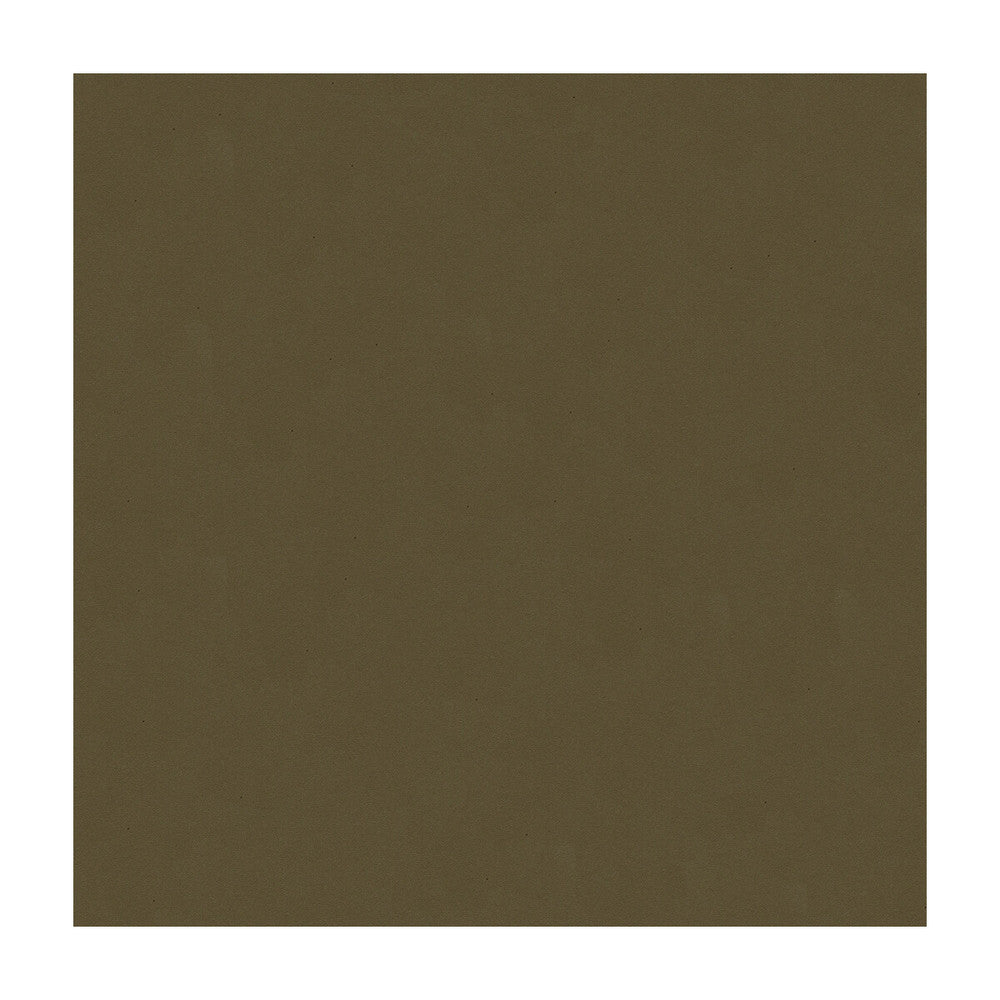 Cielo-11 by Kravet Design Designer Fabric ULTRALEATHER PLUS IV POLYURETHANE - 100% Japan HEAVY Horizontal: and Vertical: 54 - Swanky Fabrics -