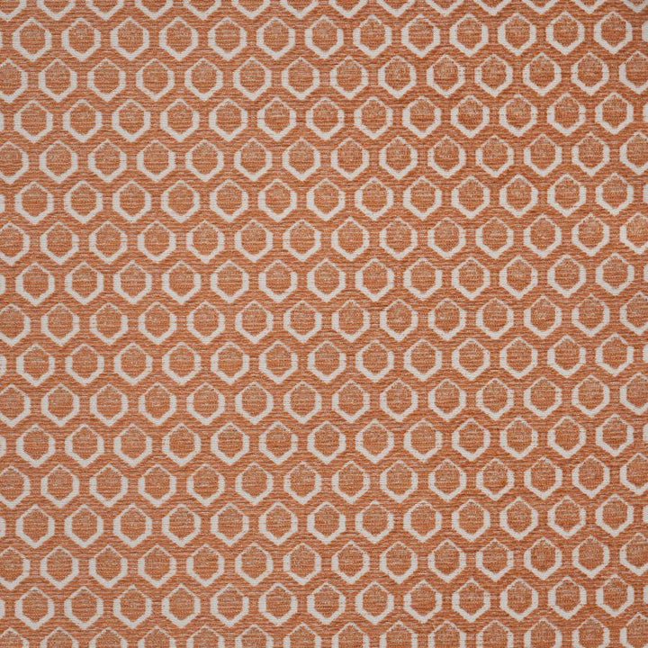 Cadboro # 804 Carnation by Maxwell Designer Fabric Performance Wovens-Vol. Vii Rhubarb 100% UV POLYESTER USA V-2.1" H-1.3" 57" - Swanky Fabrics -