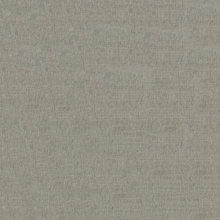 Crypton Aida # 707 Lichen by Maxwell Designer Fabric Crypton Ringsets 95% POLYESTER
5% LINEN CHINA 55" - Swanky Fabrics -