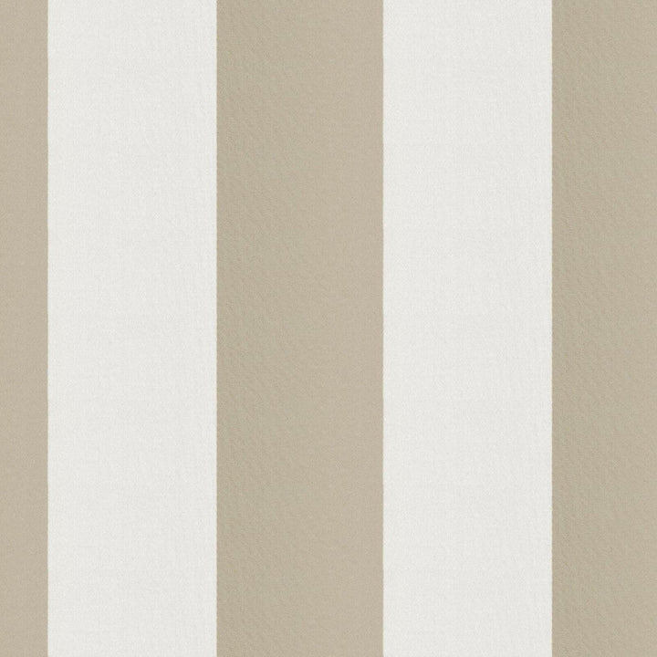 CIRQUE 32J9351 by JF Designer Fabric CIRQUE 59% , 41% Polyester India  Horizontal: 4 and Vertical:  56  - Swanky Fabrics -