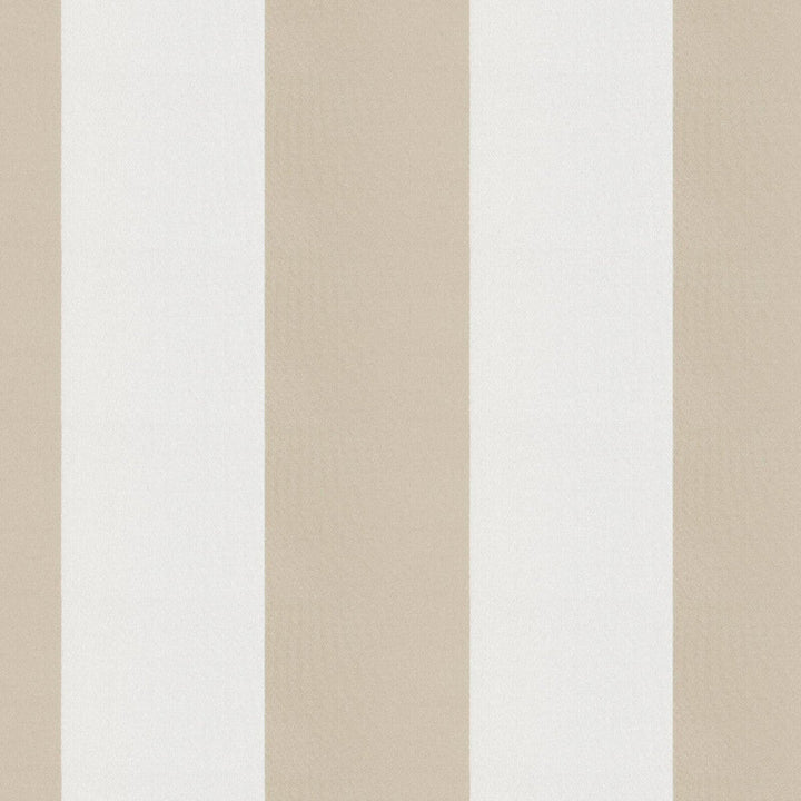 CIRQUE 34J9351 by JF Designer Fabric CIRQUE 59% , 41% Polyester India  Horizontal: 4 and Vertical:  56  - Swanky Fabrics -