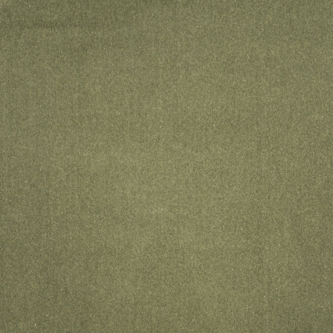 Coronado # 402 Fern by Maxwell Designer Fabric Performance Velvets-Vol.V 52% COTTON 48% POLYESTER TURKEY 55" - Swanky Fabrics -