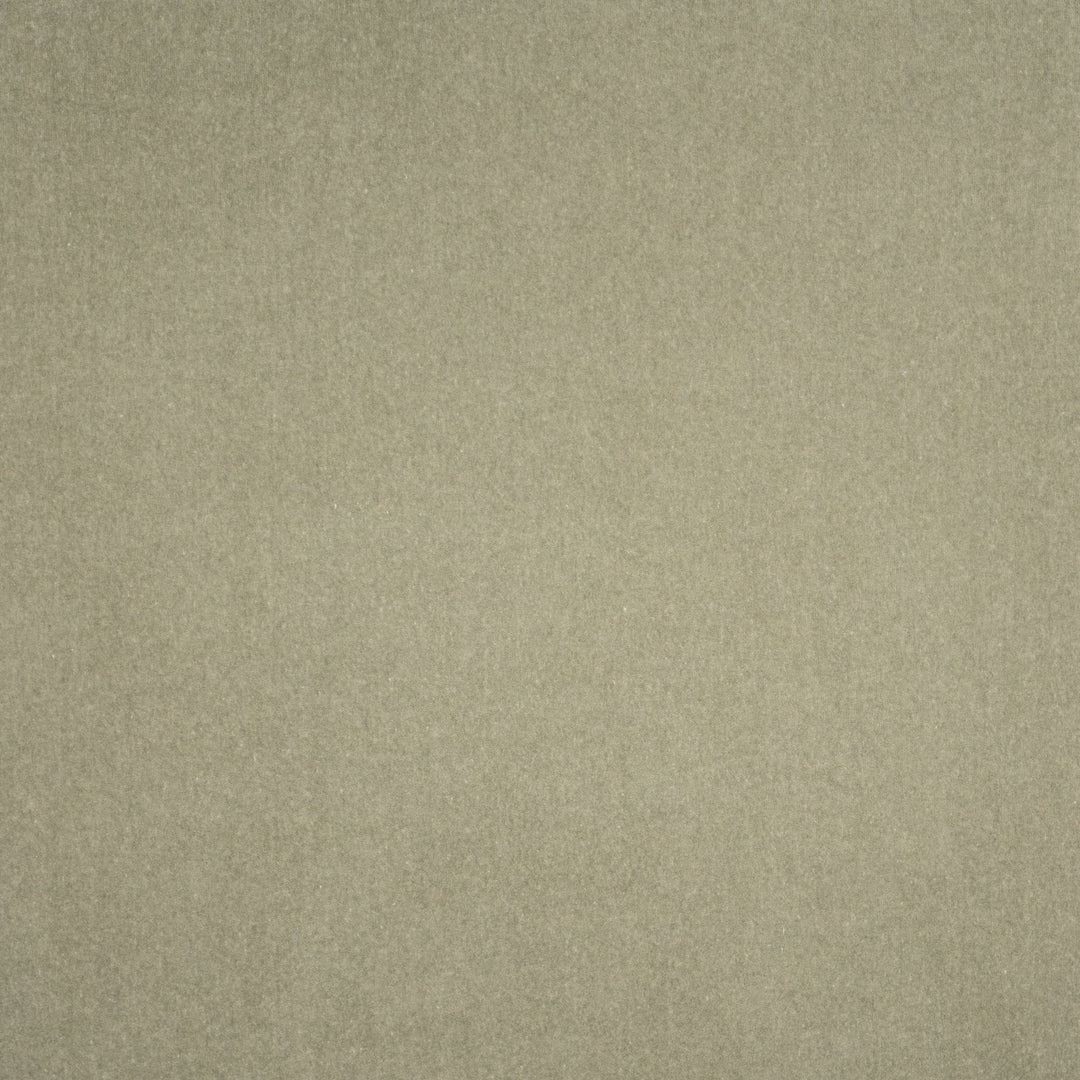 Coronado # 404 Moss by Maxwell Designer Fabric Performance Velvets-Vol.V 52% COTTON 48% POLYESTER TURKEY 55" - Swanky Fabrics -