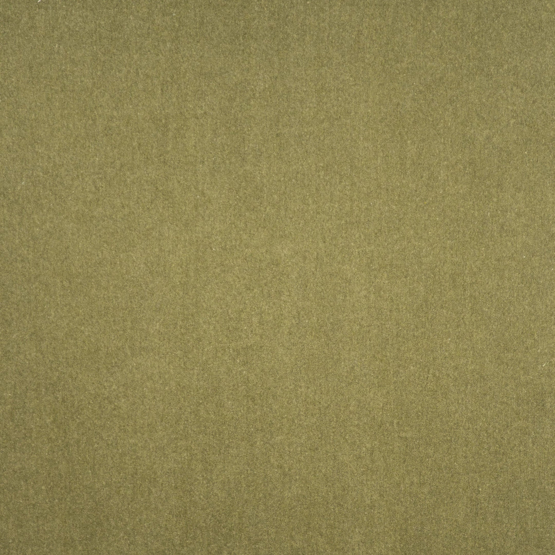 Coronado # 405 Cactus by Maxwell Designer Fabric Performance Velvets-Vol.V 52% COTTON 48% POLYESTER TURKEY 55" - Swanky Fabrics -