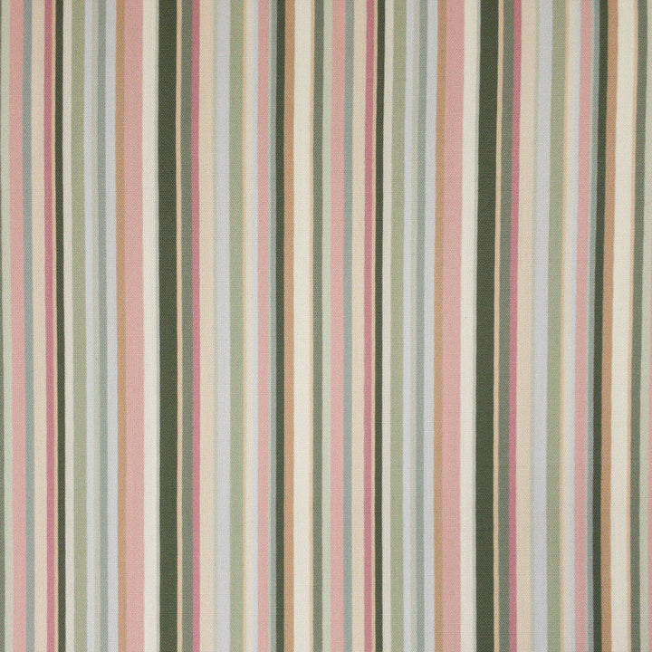 Clandon 1 Olive by Stout Designer Fabric RAINBOW LIBRARY PEAR/JUNGLE 100%POL INDIA WYZENBEEK 8 000 DOUBLE RUB WEAR TEST (LIGHT DUTY) FLAME RETARDANT-U.F.A.C. CLASS 1 CATB 117-2013 Horizontal: 9.000 and Vertical: 0.000 54 in - Swanky Fabrics -