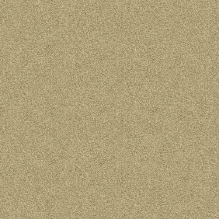 Baldwin 6003 Beige by ABBEYSHEA Designer Fabric N/A 85% Polyester, 15% Cotton China 50,000 Double Rubs </p><p>Repeat: Horizontal: 14.3" (36.5 cm) Across the Roll and Vertical: 29.5" (75.0 cm) Up the Roll 56" (142 cm) - Swanky Fabrics -