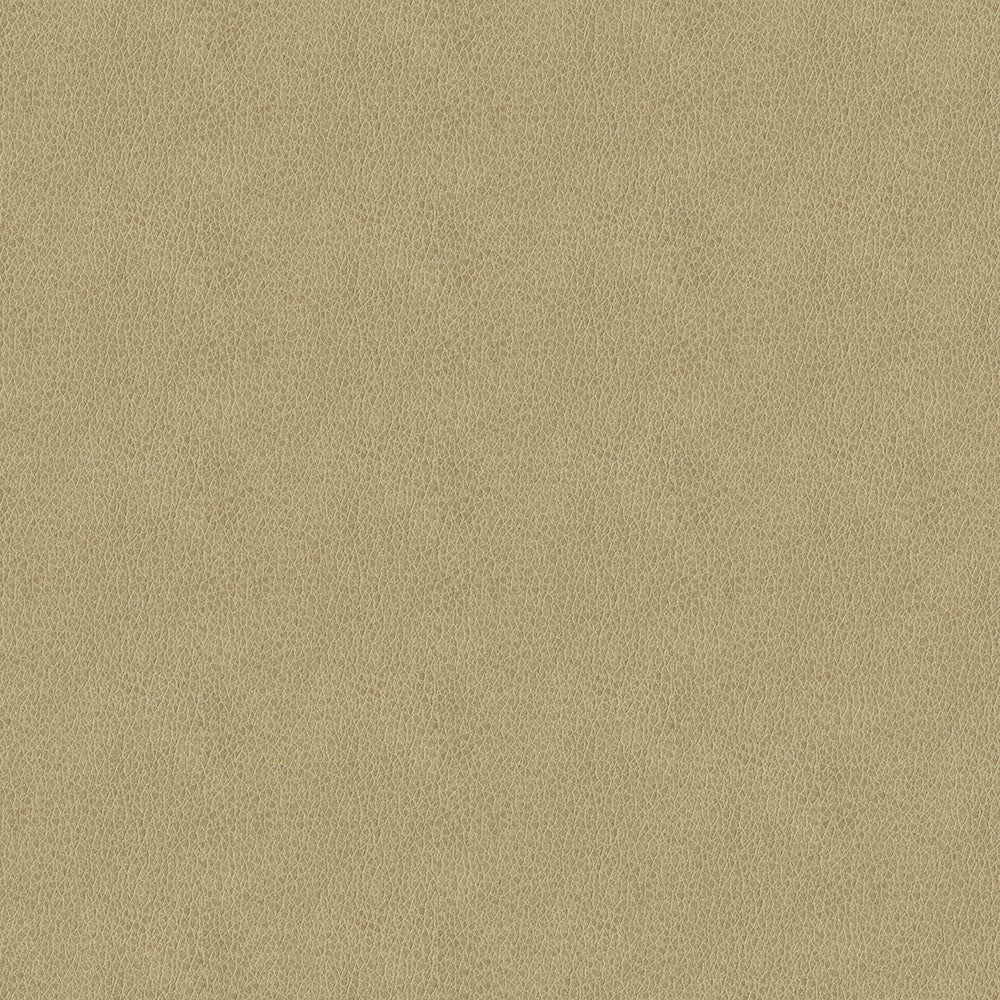 Baldwin 6003 Beige by ABBEYSHEA Designer Fabric N/A 85% Polyester, 15% Cotton China 50,000 Double Rubs </p><p>Repeat: Horizontal: 14.3" (36.5 cm) Across the Roll and Vertical: 29.5" (75.0 cm) Up the Roll 56" (142 cm) - Swanky Fabrics -