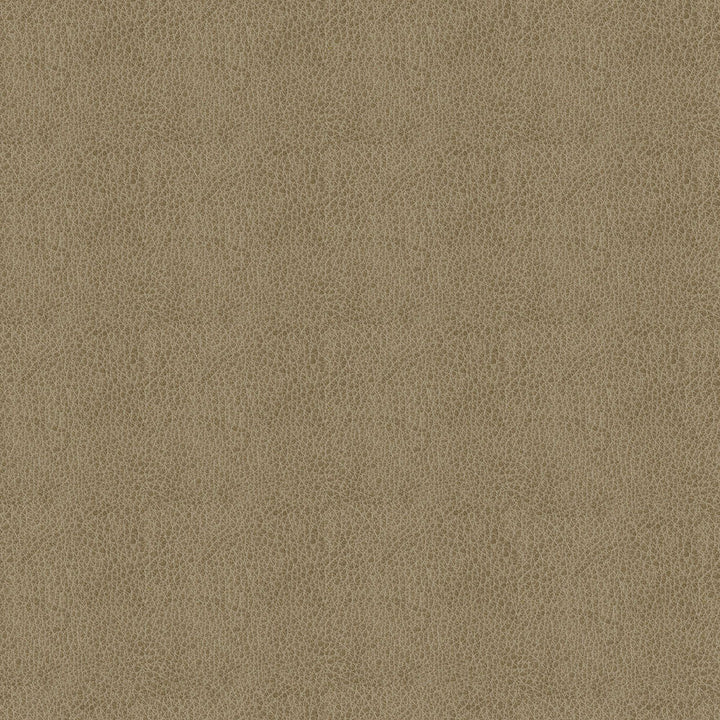 Baldwin 6009 Taupe by ABBEYSHEA Designer Fabric N/A 85% Polyester, 15% Cotton China 50,000 Double Rubs </p><p>Repeat: Horizontal: 14.3" (36.5 cm) Across the Roll and Vertical: 29.5" (75.0 cm) Up the Roll 56" (142 cm) - Swanky Fabrics -