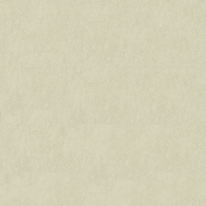 Baldwin 600 Bone by ABBEYSHEA Designer Fabric N/A 85% Polyester, 15% Cotton China 50,000 Double Rubs </p><p>Repeat: Horizontal: 14.3" (36.5 cm) Across the Roll and Vertical: 29.5" (75.0 cm) Up the Roll 56" (142 cm) - Swanky Fabrics -