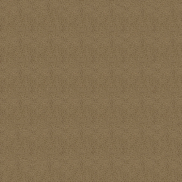 Baldwin 606 Tan by ABBEYSHEA Designer Fabric N/A 85% Polyester, 15% Cotton China 50,000 Double Rubs </p><p>Repeat: Horizontal: 14.3" (36.5 cm) Across the Roll and Vertical: 29.5" (75.0 cm) Up the Roll 56" (142 cm) - Swanky Fabrics -