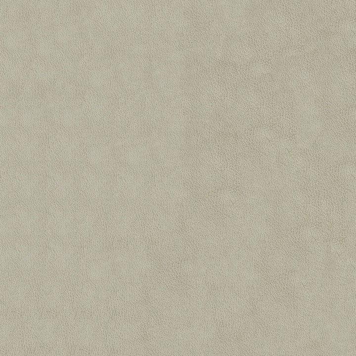 Baldwin 902 Alabaster by ABBEYSHEA Designer Fabric N/A 100% Polyurethane (PU) China 200,000 Double Rubs </p><p>Repeat: Horizontal: and Vertical: 54" (137 cm) - Swanky Fabrics -