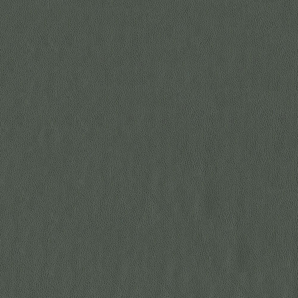 Baldwin 908 Graphite by ABBEYSHEA Designer Fabric N/A 100% Polyurethane (PU) China 200,000 Double Rubs </p><p>Repeat: Horizontal: and Vertical: 54" (137 cm) - Swanky Fabrics -
