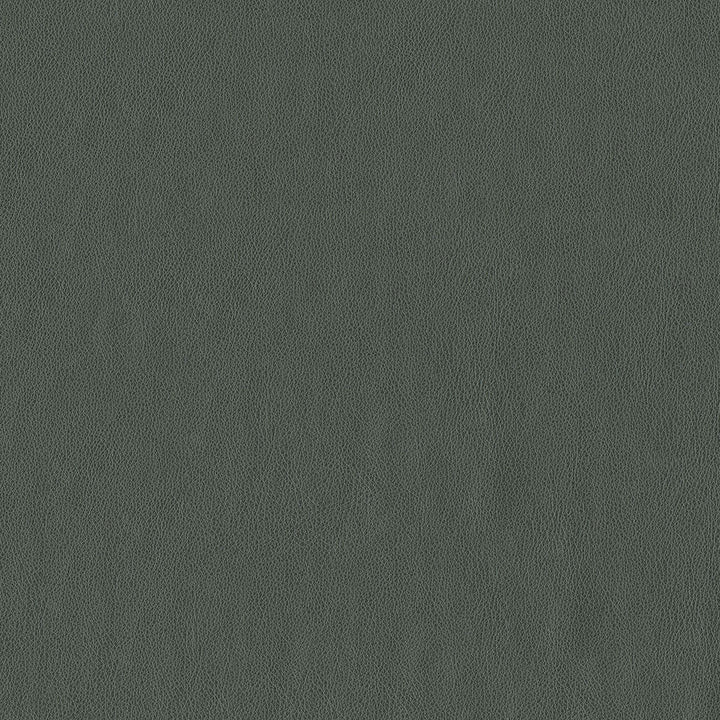 Baldwin 908 Graphite by ABBEYSHEA Designer Fabric N/A 100% Polyurethane (PU) China 200,000 Double Rubs </p><p>Repeat: Horizontal: and Vertical: 54" (137 cm) - Swanky Fabrics -
