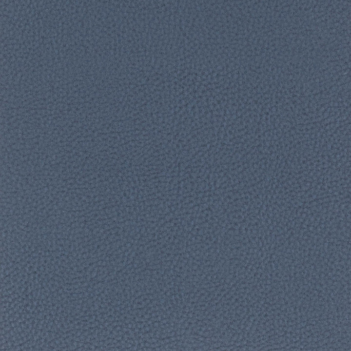 Classic 1 Blueberry by Stout Designer Fabric ALL THINGS VERSATILE 80%OTH 20%UV KOREA WYZENBEEK 100 000 DOUBLE RUB WEAR TEST (HEAVY DUTY) PERFORMANCE RATED FABRIC FLAME RETARDANT-U.F.A.C. CLASS 1 CATB 117-2013 Horizontal: 0 and Vertical: 0 54 in - Swanky Fabrics -