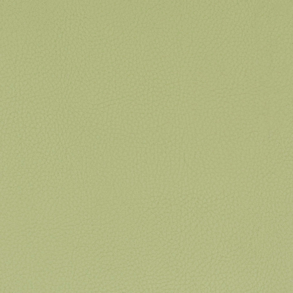 Classic 8 Pistachio by Stout Designer Fabric ALL THINGS VERSATILE 80%OTH 20%UV KOREA WYZENBEEK 100 000 DOUBLE RUB WEAR TEST (HEAVY DUTY) PERFORMANCE RATED FABRIC FLAME RETARDANT-U.F.A.C. CLASS 1 CATB 117-2013 Horizontal: 0 and Vertical: 0 54 in - Swanky Fabrics -