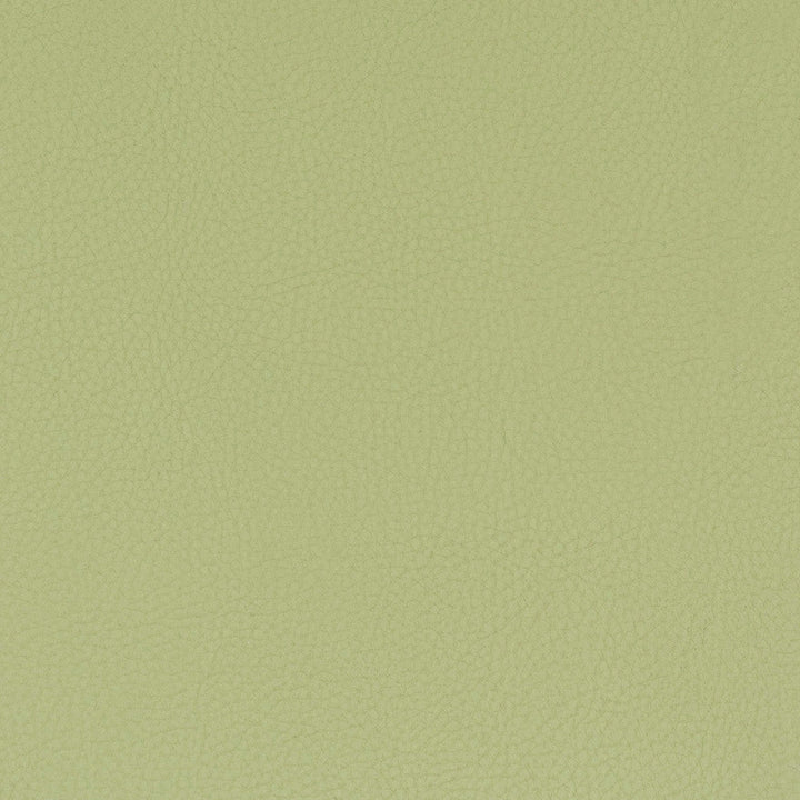 Classic 8 Pistachio by Stout Designer Fabric ALL THINGS VERSATILE 80%OTH 20%UV KOREA WYZENBEEK 100 000 DOUBLE RUB WEAR TEST (HEAVY DUTY) PERFORMANCE RATED FABRIC FLAME RETARDANT-U.F.A.C. CLASS 1 CATB 117-2013 Horizontal: 0 and Vertical: 0 54 in - Swanky Fabrics -