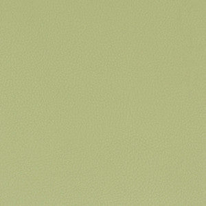 Stout Fabric Classic 8 Pistachio