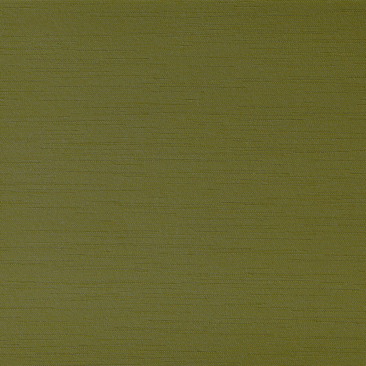 Clutch Grasshoper by Kravet Contract Designer Fabric FOUNDATIONS / VALUE POLY VINYL CHLORIDE - 100% China HEAVY Horizontal: 0 and Vertical: 0 54 - Swanky Fabrics -